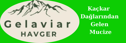 GELAVİAR HAVGER